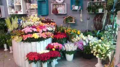 Kwiaciarnia Czar Kwiatów